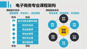 电子商务专业网课内容