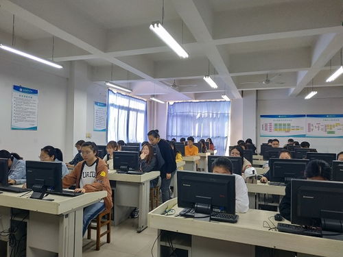 专科电子商务专业就业率