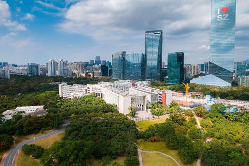 深圳大学的电子商务专业