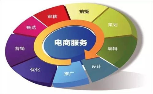 电子商务专业的信息源