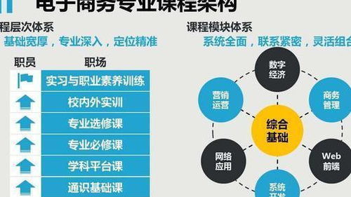 中专电子商务专业知乎