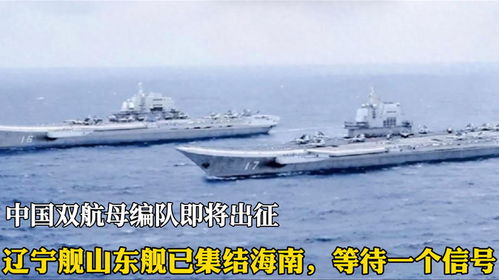 山东舰编队到访香港有哪些看点